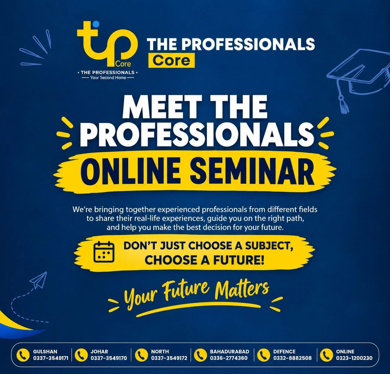 Meet the Professionals: online seminar poster